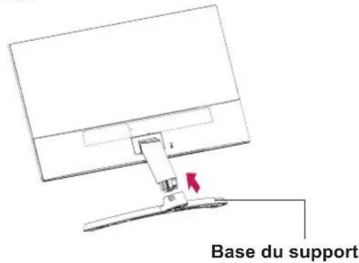 Base du support