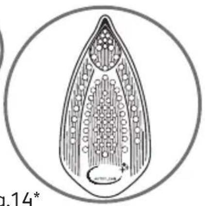TEFAL FV9513E0 - 14