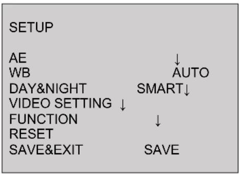 SETUP AE ↓ WB AUTO DAY&NIGHT SMART↓ VIDEO SETTING ↓ FUNCTION ↓ RESET SAVE&EXIT SAVE