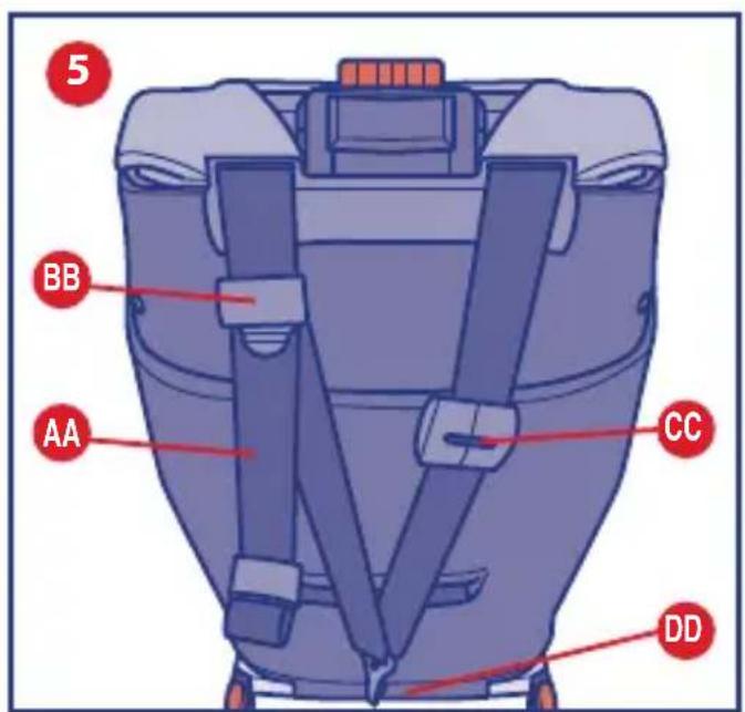 5 BB AA CC DD