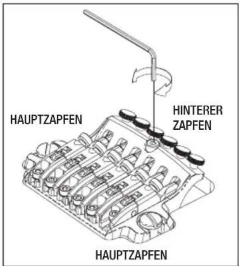 HAUPTZAPFEN HINTERER ZAPFEN HAUPTZAPFEN