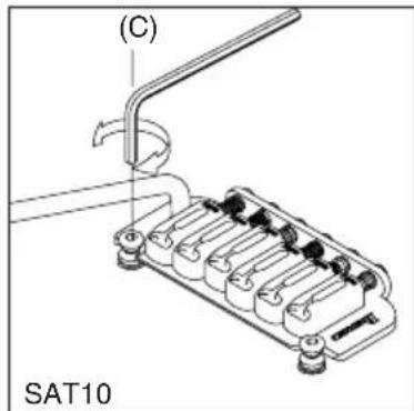 (C) SAT10