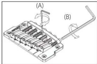 (A) (B)