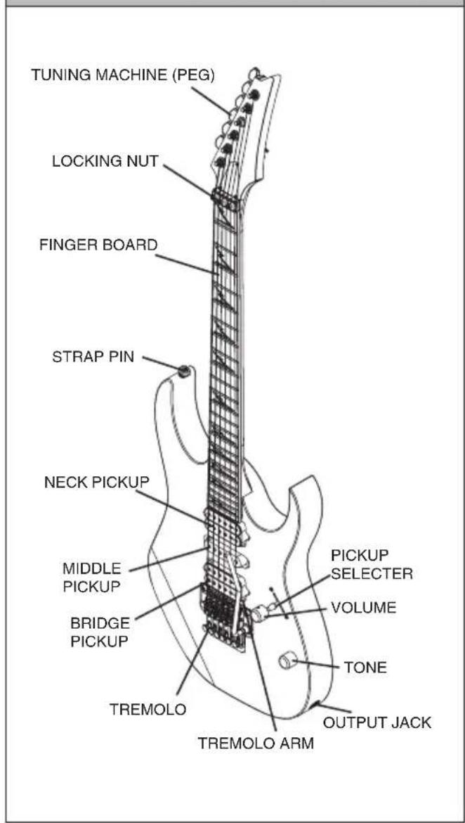 TUNING MACHINE (PEG) LOCKING NUT FINGER BOARD STRAP PIN NECK PICKUP MIDDLE PICKUP BRIDGE PICKUP TREMOLO TREMOLO ARM PICKUP SELECTER VOLUME TONE OUTPUT JACK