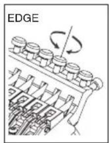 EDGE