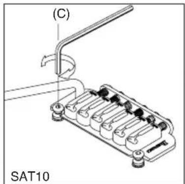 (C) SAT10