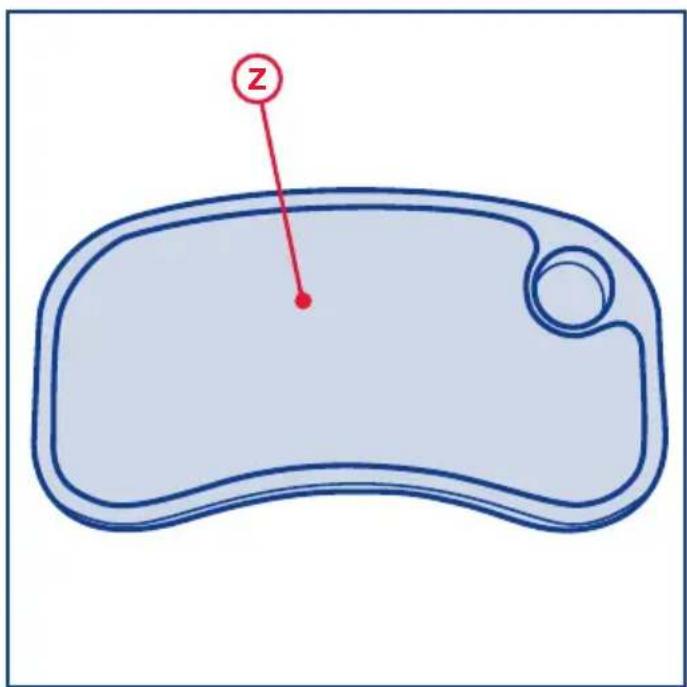 z