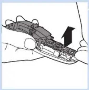 Illustration of a hand holding a small boat with an arrow indicating direction (no text or symbols)