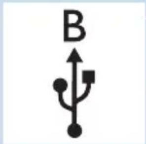 B