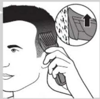 Illustration of a person brushing teeth with a magnified inset showing tooth structure.
