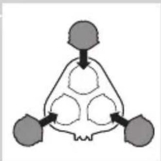 graph TD A["Top Node"] --> B["Central Process"] B --> C["Bottom Path 1"] B --> D["Bottom Path 2"]