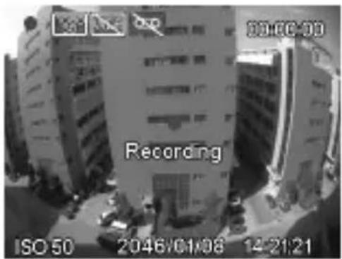 00:00:00 Recording ISO 50 2046/01/08 14:21:21