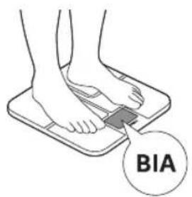 BIA
