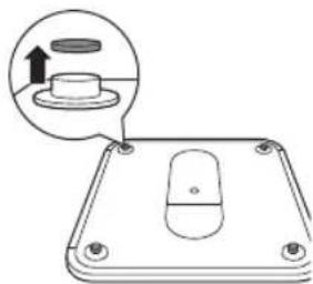 PHILIPS DL8781 - Placing the carpet feet - 1