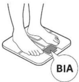 BIA
