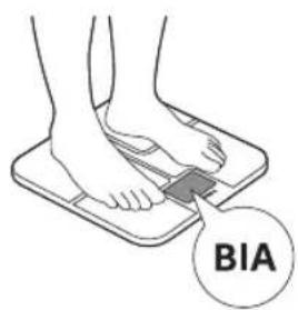 BIA