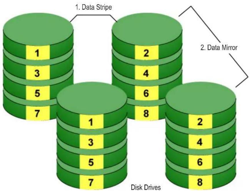 1. Data Stripe 2. Data Mirror Disk Drives