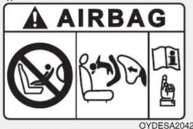 AIRBAG OYDESA2042