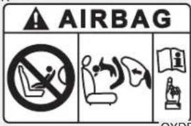 AIRBAG NOVO SHEE OXYDE