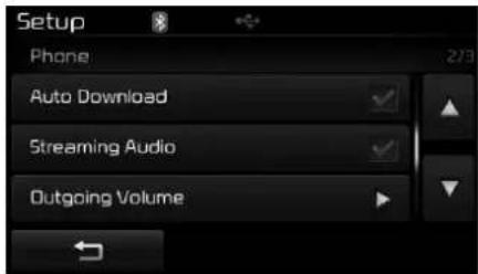 Setup Phone Auto Download Streaming Audio Outgoing Volume