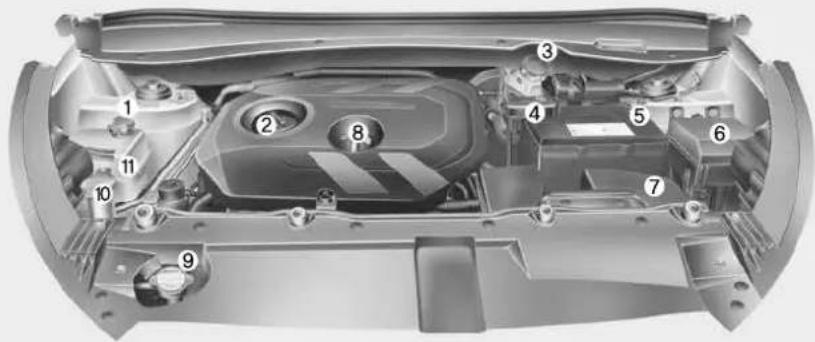 Technical diagram of a car engine bay with numbered components for identification