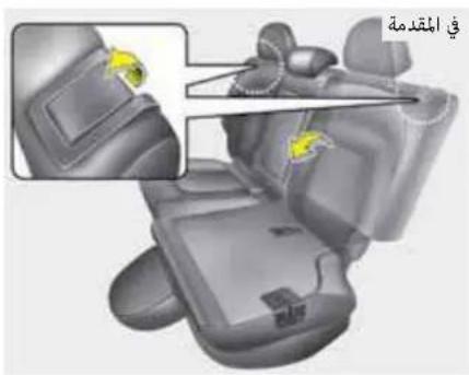 في المقدمة