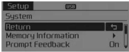 Setup USB System Return Memory Information Prompt Feedback On
