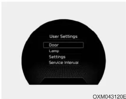 User Settings Door Lamp Settings Service Interval OXM043120E