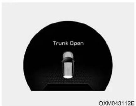 Trunk Open OXM043112E