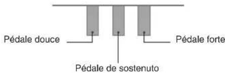 Pédale douce Pédale forte Pédale de sostenuto