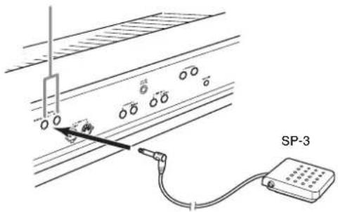 SP-3