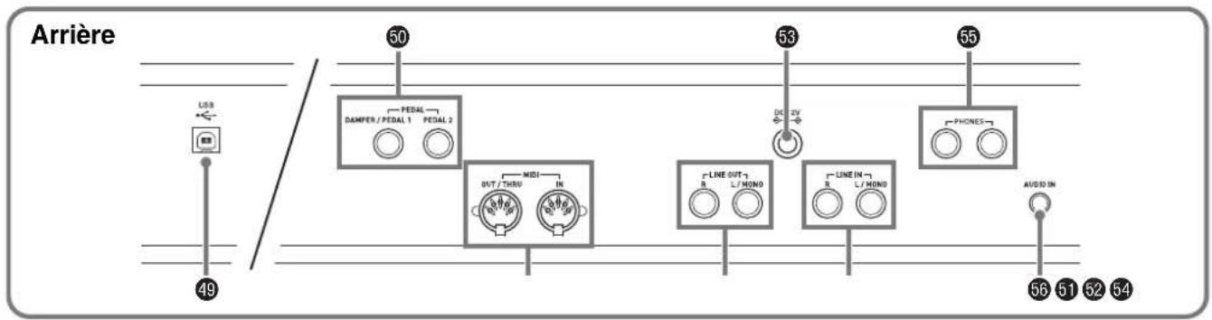 Arrière USB 49 50 PEDAL DAMPER / PEDAL 1 PEDAL 2 MIDI OUT / THBD IN LINE OUT R L / MONO LINE IN R L / MONO PHONES 53 56 51 52 54