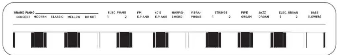 ORAND PIANO CONCERT MODERN CLASSIC MELLOW BRIGHT ELEC. PIANO FM 40'S HARPSI- VIBRA- STRINGS PIPE JAZZ ELEC. ORGAN BASS 1 2 E.PIANO E.PIANO CHORD PHONE 1 2 ORGAN ORGAN 1 2 LOWER