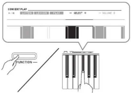 CONCERT PLAY ▶ / ■ LIFORN LIFSON PLAT - SELECT + - VOLUME + FUNCTION