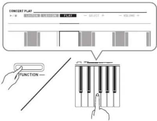 CONCERT PLAY ▶ / ■ ▼ ▼ ▼ ▼ ▼ ▼ ▼ ▼ ▼ ▼ ▼ ▼ ▼ ▼ FLAY SELECT + VOLUME + FUNCTION