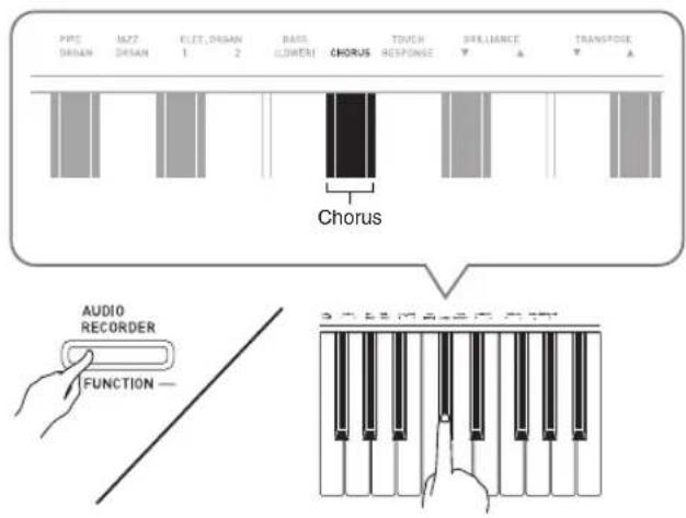 PPD DRAN MZZ DRAN ELET, DRAN 1 2 BASS LOWER CHORUS TOUCH RESPONSE SPELLANCE ▼ ▲ TRANSPOSE ▼ ▲ Chorus AUDIO RECORDER FUNCTION
