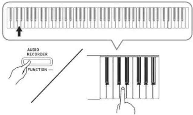 AUDIO RECORDER FUNCTION