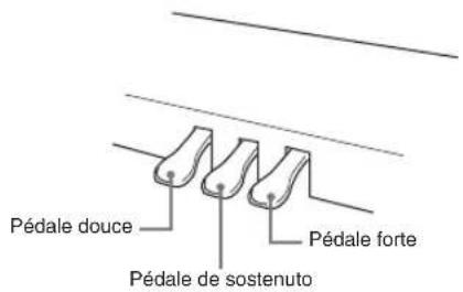 Pédale douce Pédale de sostenuto Pédale forte