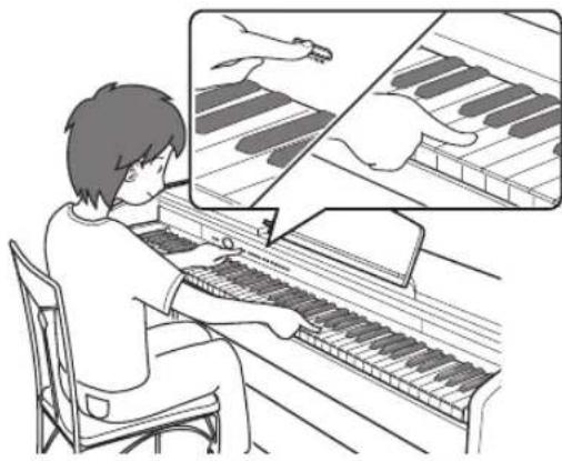 CASIO PX-860WE - REMARQUE - 1