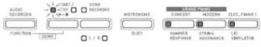CASIO PX-860WE - Indicateurs d'erreur - 7