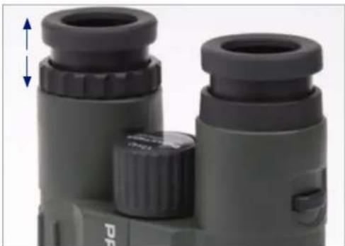 Praktica Discovery 10x42 - Réglage Des Oeilletons - 1