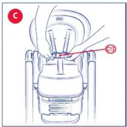 C C13