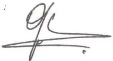 Handwritten signature or scribble on a line, possibly a signature or artistic mark
