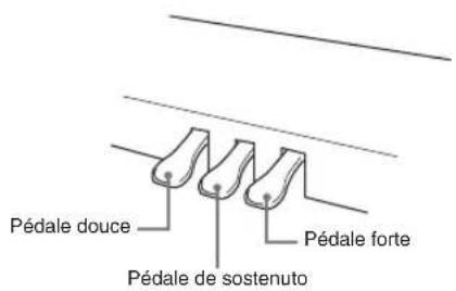 Pédale douce Pédale de sostenuto Pédale forte