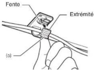 Fente Extrémité (a)