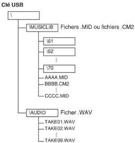 CASIO AP-460BK - ■Schéma structurel des dossiers d'une clé USB - 1