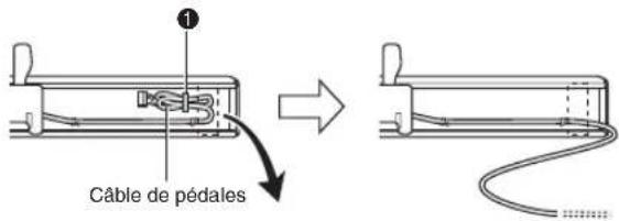 Câble de pédales