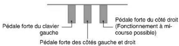 Pédale forte du clavier gauche Pédale forte des côtés gauche et droit Pédale forte du côté droit (Fonctionnement à mi-course possible)