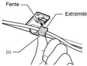 Fente Extrémité (a)