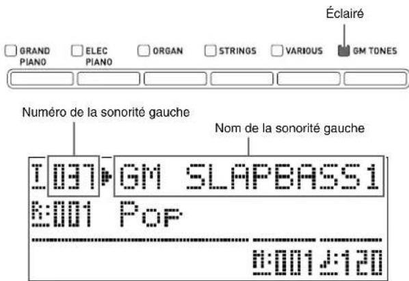 GRAND PIANO ELEC PIANO ORGAN STRINGS VARIOUS Éclairé GM TONES Numéro de la sonorité gauche Nom de la sonorité gauche I:037 GM SLAPBASS1 @:001 Pop @:001:120